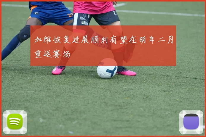 加维恢复进展顺利有望在明年二月重返赛场